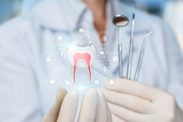 Best Traditional Braces  in Pelican Bay, FL